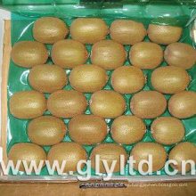 Calidad exportada Fruta de kiwi verde fresca china